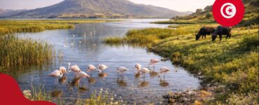 Park Narodowy Ichkeul