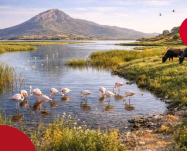 Park Narodowy Ichkeul