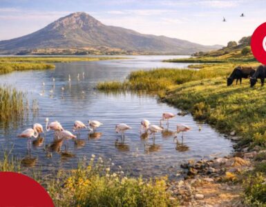 Park Narodowy Ichkeul